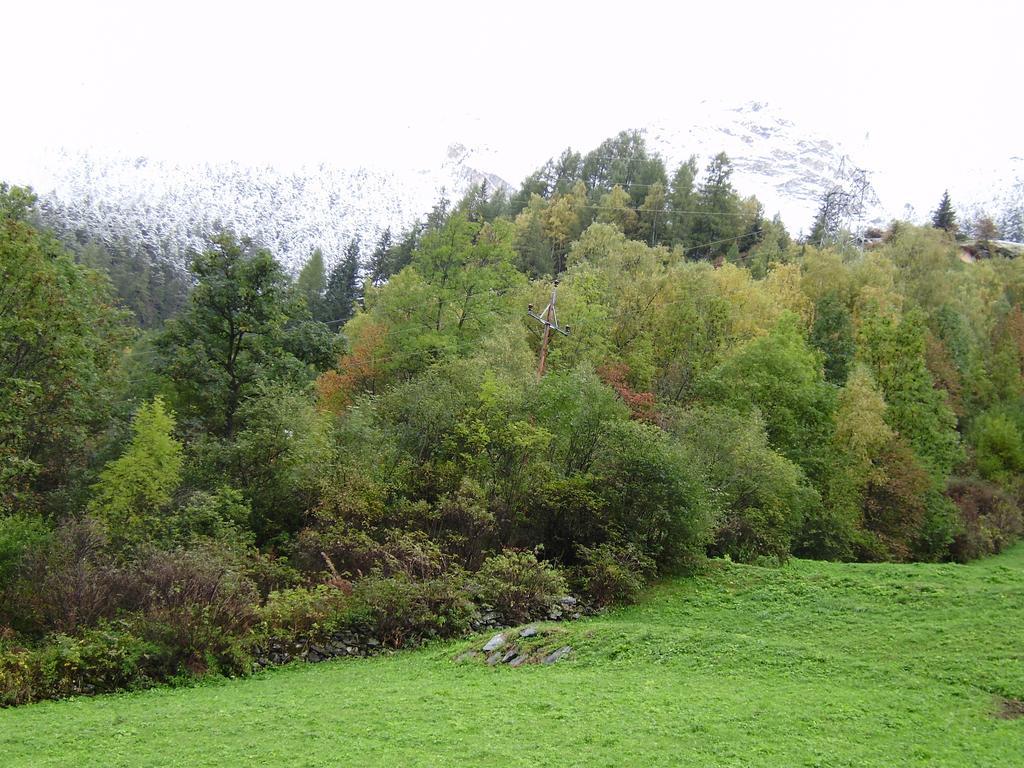 Affittacamere Haus Alpengluehn Längenfeld